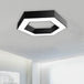 Adriana Simplicity Meets Energy Efficiency: The Honeycomb Flush Mount Led Light Black / 16’ White