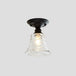 Ximena Industrial Wavy Glass Semi - Flush Mount Light