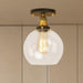 Naomi - Industrial Glass Globe Semi - Flush Mount Light