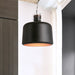 Carter - Industrial Bucket Pendant Light (Black/White 1 - Light)