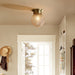 Olivia’s Modern Gold Flush Mount Light