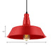 Embrace Industrial Charm And A Pop Of Color: The Red & Green Pendant Light Lighting