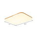 Beige Acrylic Flush Mount Ceiling Light For Living Room - 25.5’/34’ Rectangle Shape