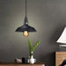 Rustic Charm Meets Modern Convenience: The Hanging Black Barn Light