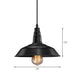 Rustic Charm Meets Modern Convenience: The Hanging Black Barn Light