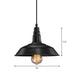 Rustic Charm Meets Modern Convenience: The Hanging Black Barn Light