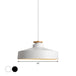 Josephine Pot Lid Pendant: Vintage Charm & Modern Lighting