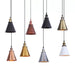 Hunter - Horn Shaped Pendant Light In Various Finishes