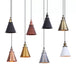 Hunter - Horn Shaped Pendant Light In Various Finishes