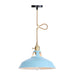 Peyton Nordic Barn Pendant Light (Pink/Blue/Green)