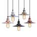 Raelynn Space With The Flared Hanging Light Fixture: Modern Industrial Meets Versatility