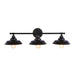 Rustic Illumination: The Black Iron Barn Wall Sconce With 3 Lights