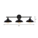 Rustic Illumination: The Black Iron Barn Wall Sconce With 3 Lights