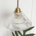 Embrace Minimalist Elegance: The Clear Ribbed Glass Pendant Light