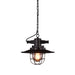 Embolden Your Space With Industrial Elegance: The Black Iron Ceiling Pendant Clear Glass Shade