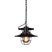 Embolden Your Space With Industrial Elegance: The Black Iron Ceiling Pendant Clear Glass Shade