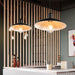 Unveiling The ’Blake’ Industrial Pendant Light: A Versatile Gem For Restaurants