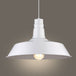 Diana Industrial Chic Pendant: A Versatile Lighting Solution