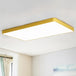 Brighten Your Space With Fun And Color: The Macaron Rectangular Flush Mount Ceiling Light