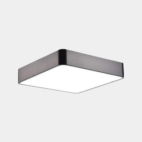 Catalina Minimalism Meets Efficiency: Led Ceiling Mount Light