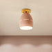 Londyn Modern Oval Semi - Flush Mount: Colorful Accent Lighting For Your Bedroom