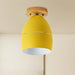 Londyn Modern Oval Semi - Flush Mount: Colorful Accent Lighting For Your Bedroom