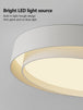 Nordic Minimalist Modern Ceiling Lamp - Designer Lighting For Stylish Living Rooms And Master