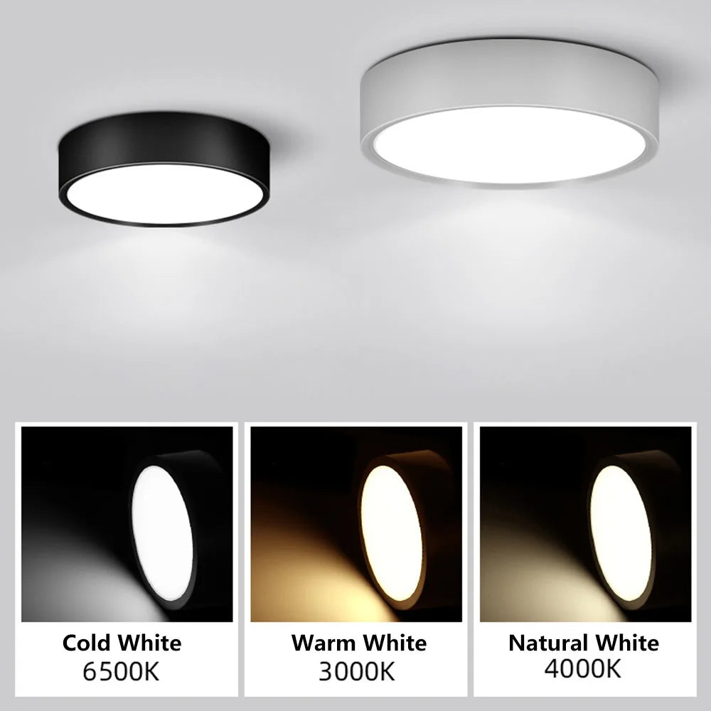 90 - 250V Led Ceiling Light - Choose From 5W Or 10W Surface Mounted Downlight For Stylish Indoor