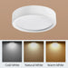 90 - 250V Led Ceiling Light - Choose From 5W Or 10W Surface Mounted Downlight For Stylish Indoor