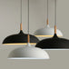 Minimalist Modern Pendant Lamps - Wood & Aluminum Lampshade Hanging Lights For Artistic Fashion