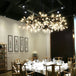 Modern Firefly Led Chandelier - Stylish Acrylic Industrial Pendant Light For Living Dining And