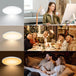 High - Brightness 40W Embedded 15 Inch Ceiling Light - Mosquito - Proof Switchable Cct Ideal For