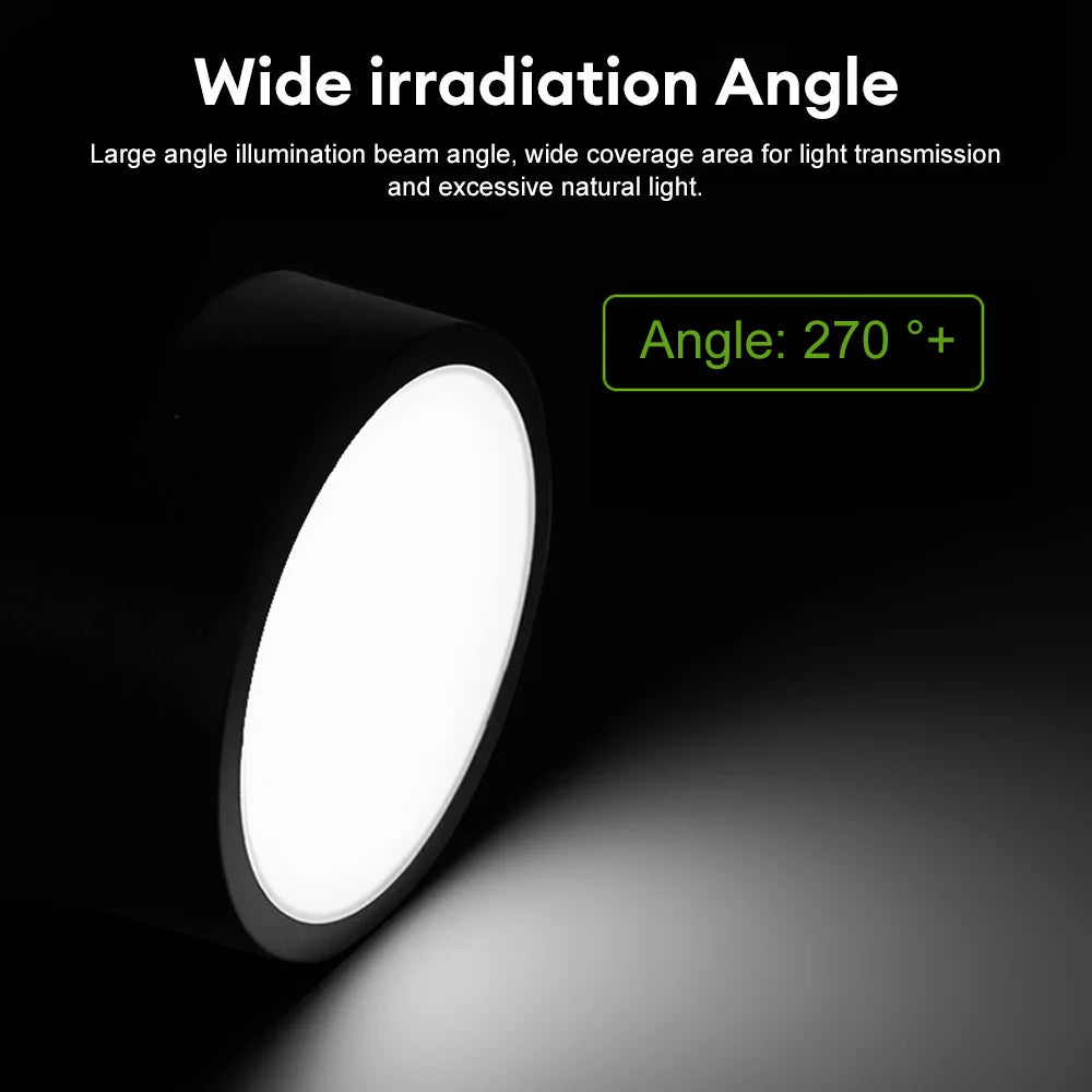 90 - 250V Led Ceiling Light - Choose From 5W Or 10W Surface Mounted Downlight For Stylish Indoor