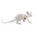 Modern Led Animal Table Lights - Whimsical Rat Cat Squirrel And Mouse Night Lamps Lamp