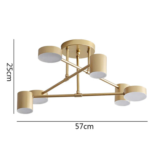 Nordic Led Ceiling Lights - Multiple Lamp Base Options In Black White And Gold Modern Lighting For